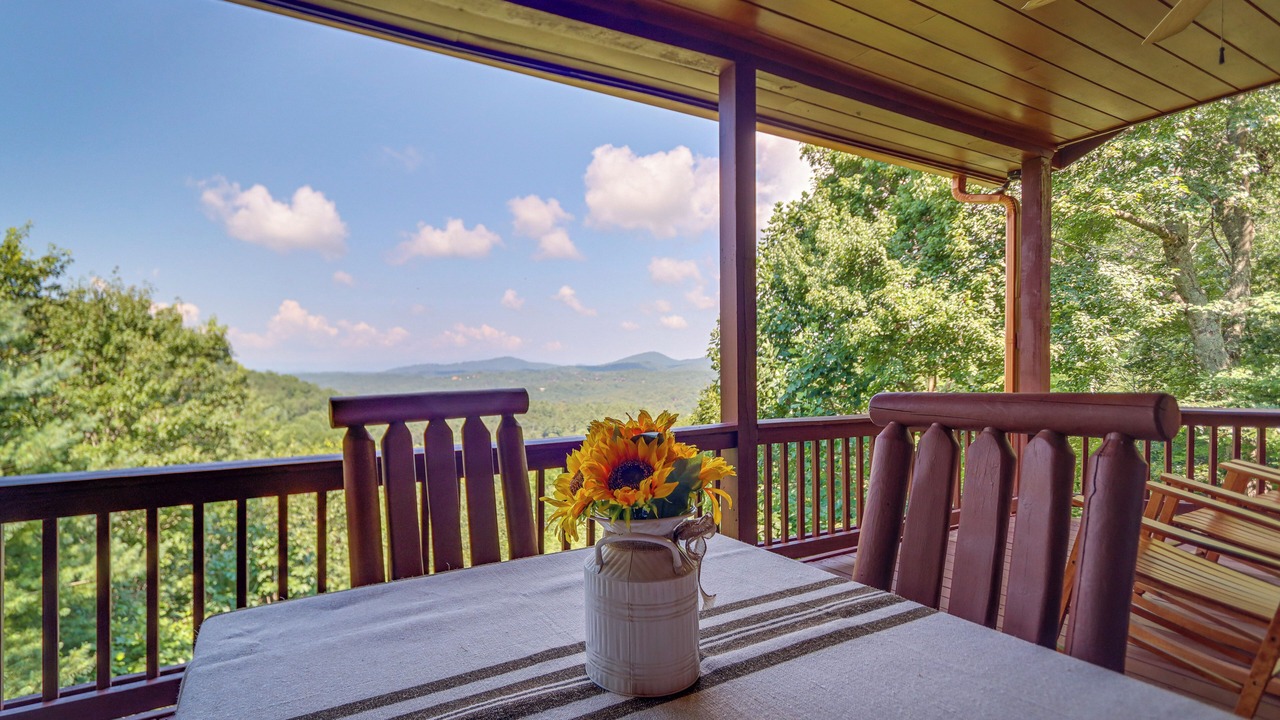 Photo of Outdoor in Mineral Bluff