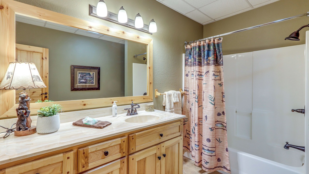 Photo of Bathroom in Mineral Bluff