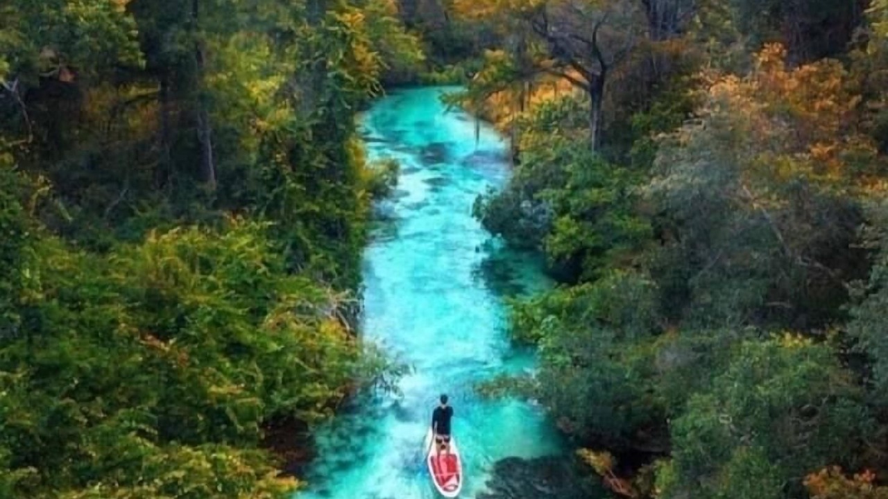 Photo of Outdoor in High Springs