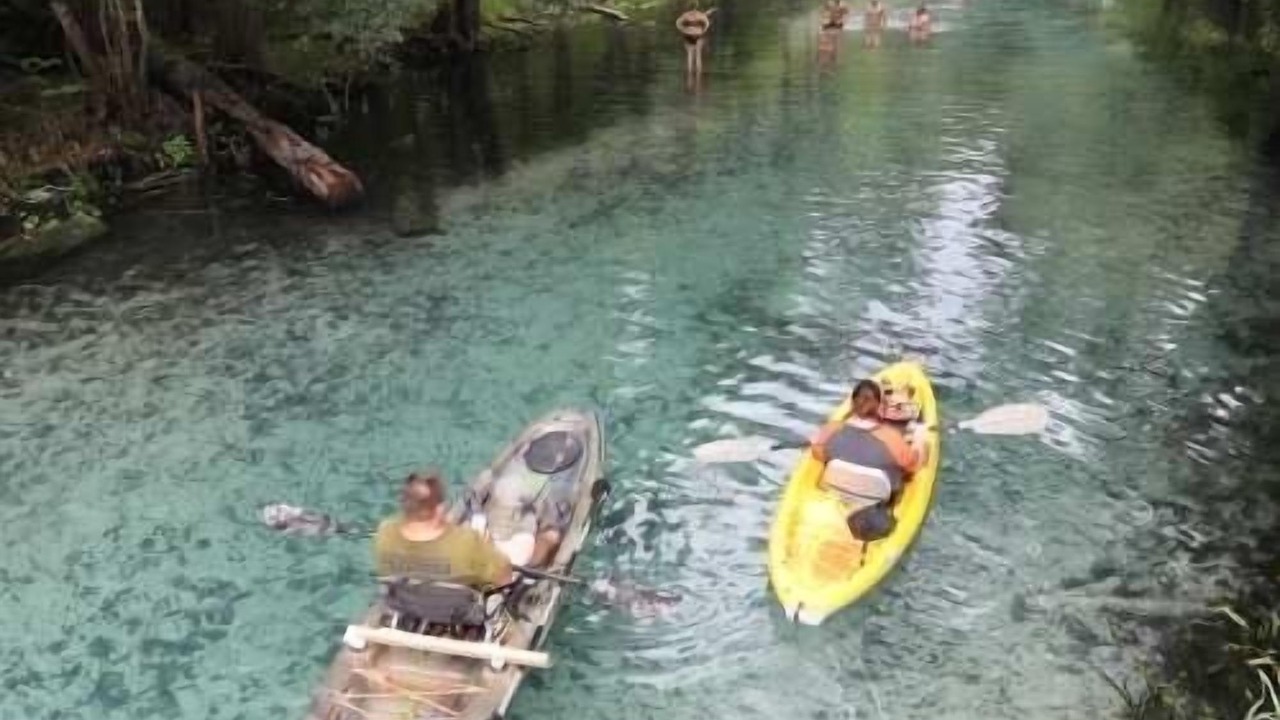 Photo of Others in High Springs