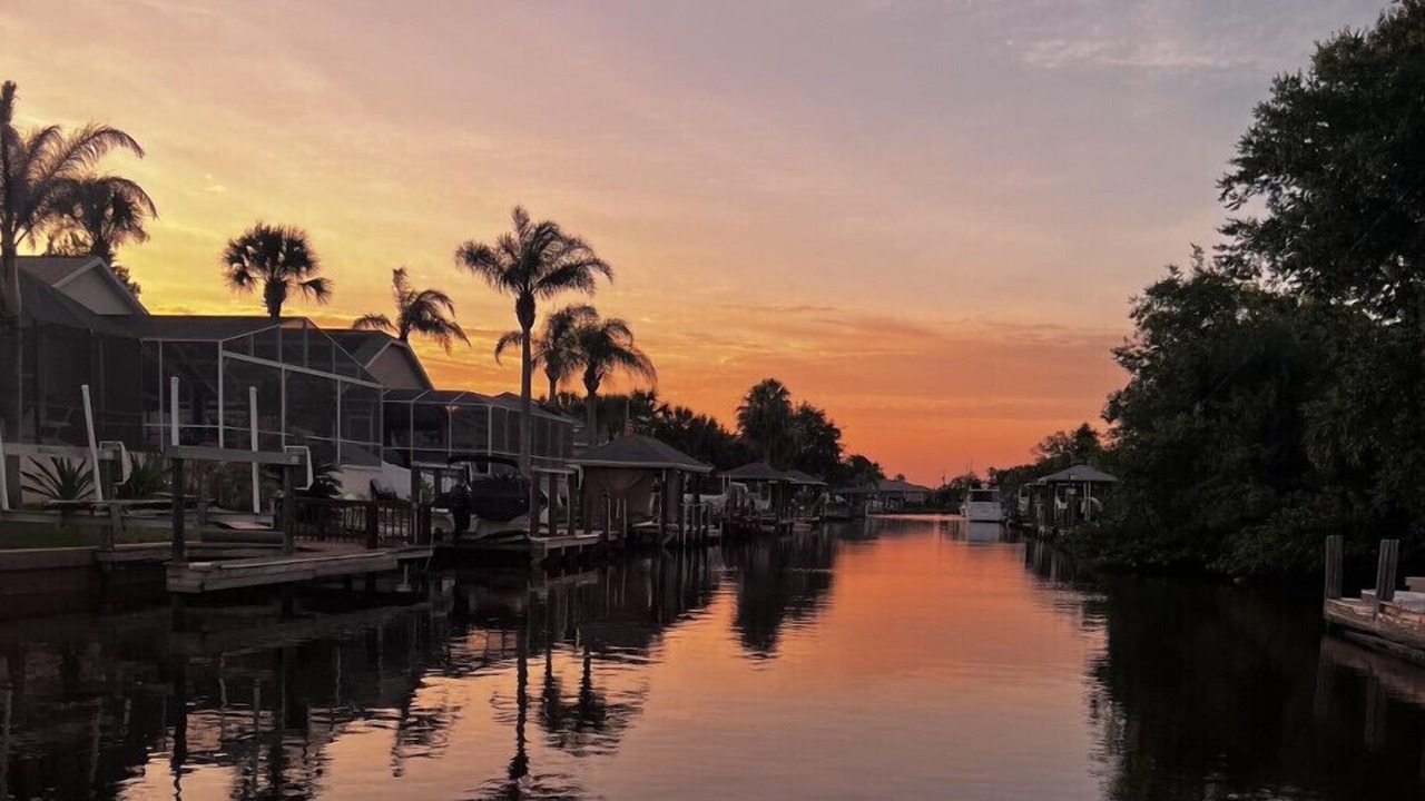 Photo of Others in Palm Harbor