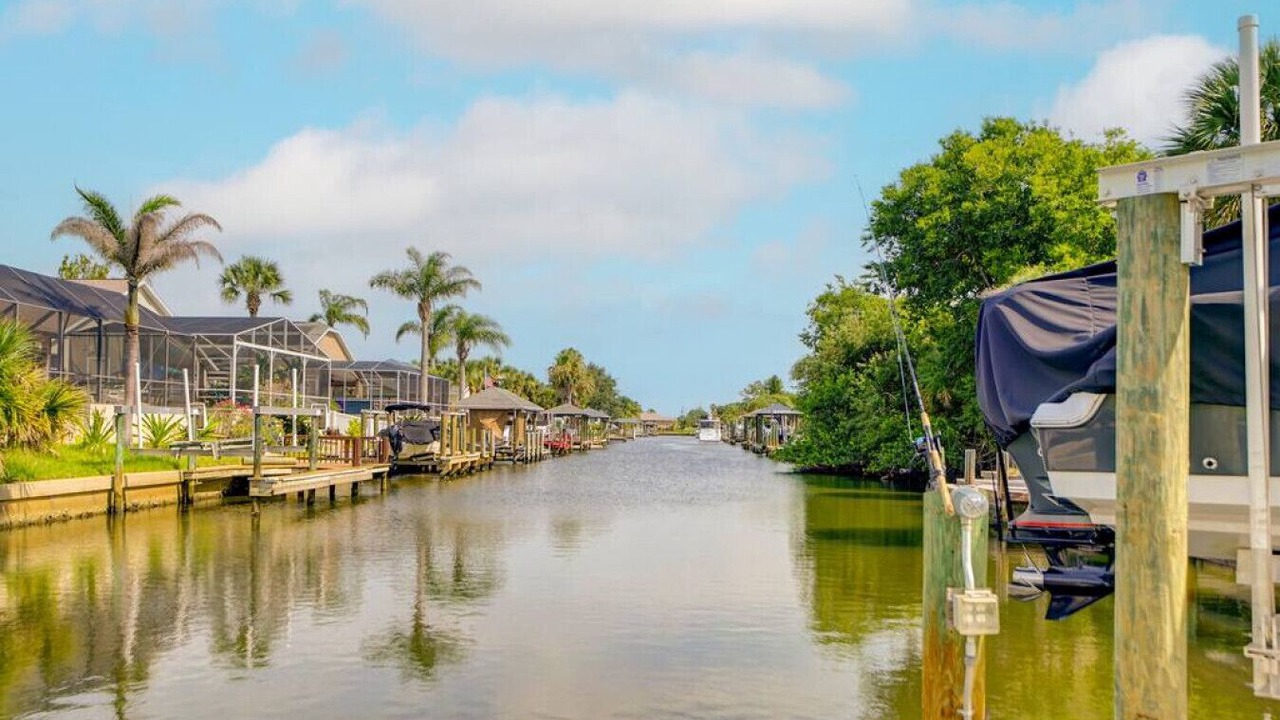 Photo of Others in Palm Harbor