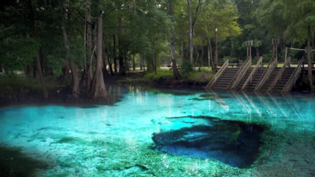 Photo of Outdoor in High Springs