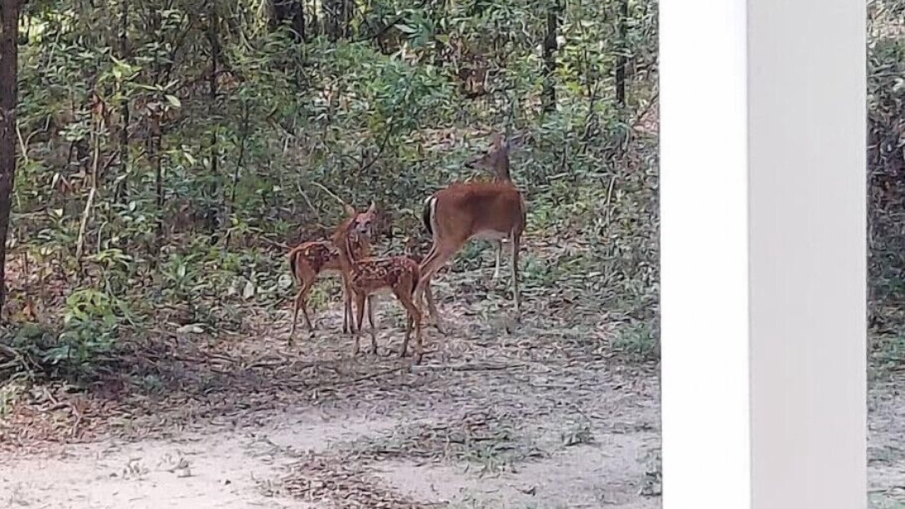 Photo of Outdoor in Lake City