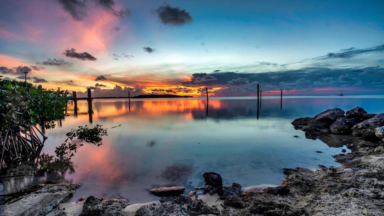 Photo of Others in Tavernier