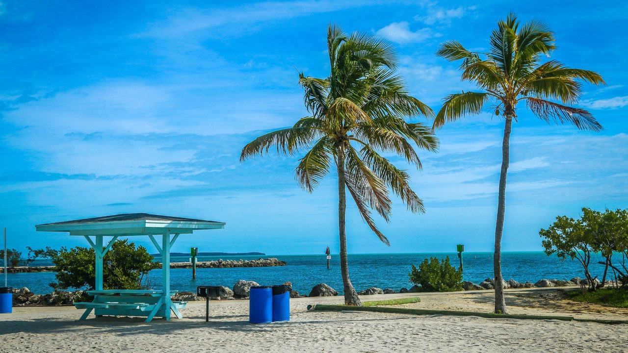 Photo of Others in Tavernier