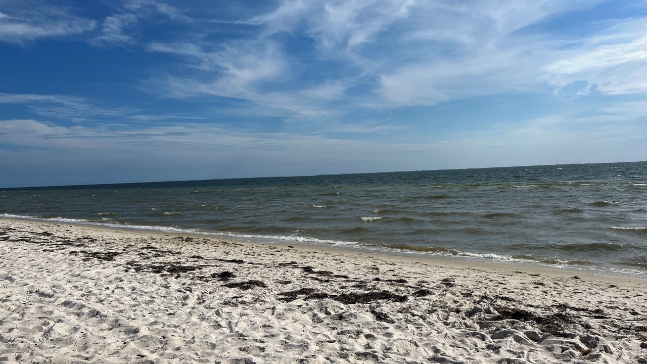 Photo of Others in Port St. Joe
