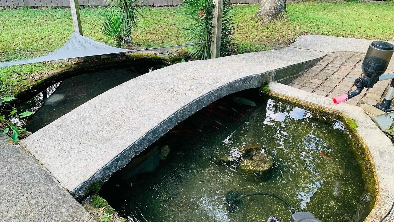 Photo of Outdoor in Foley