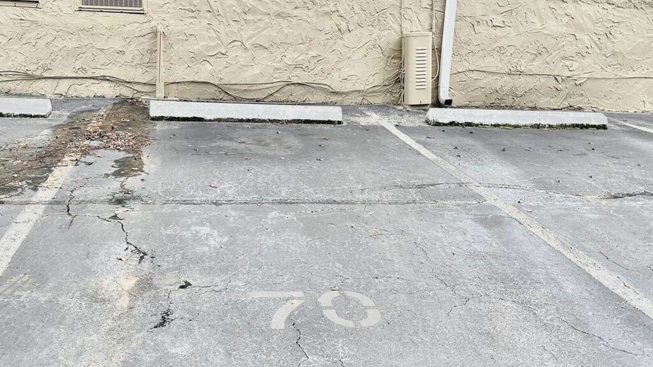 Photo of Outdoor in Tallahassee