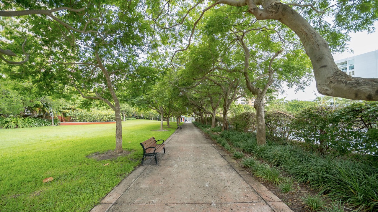 Photo of Outdoor in Key Biscayne
