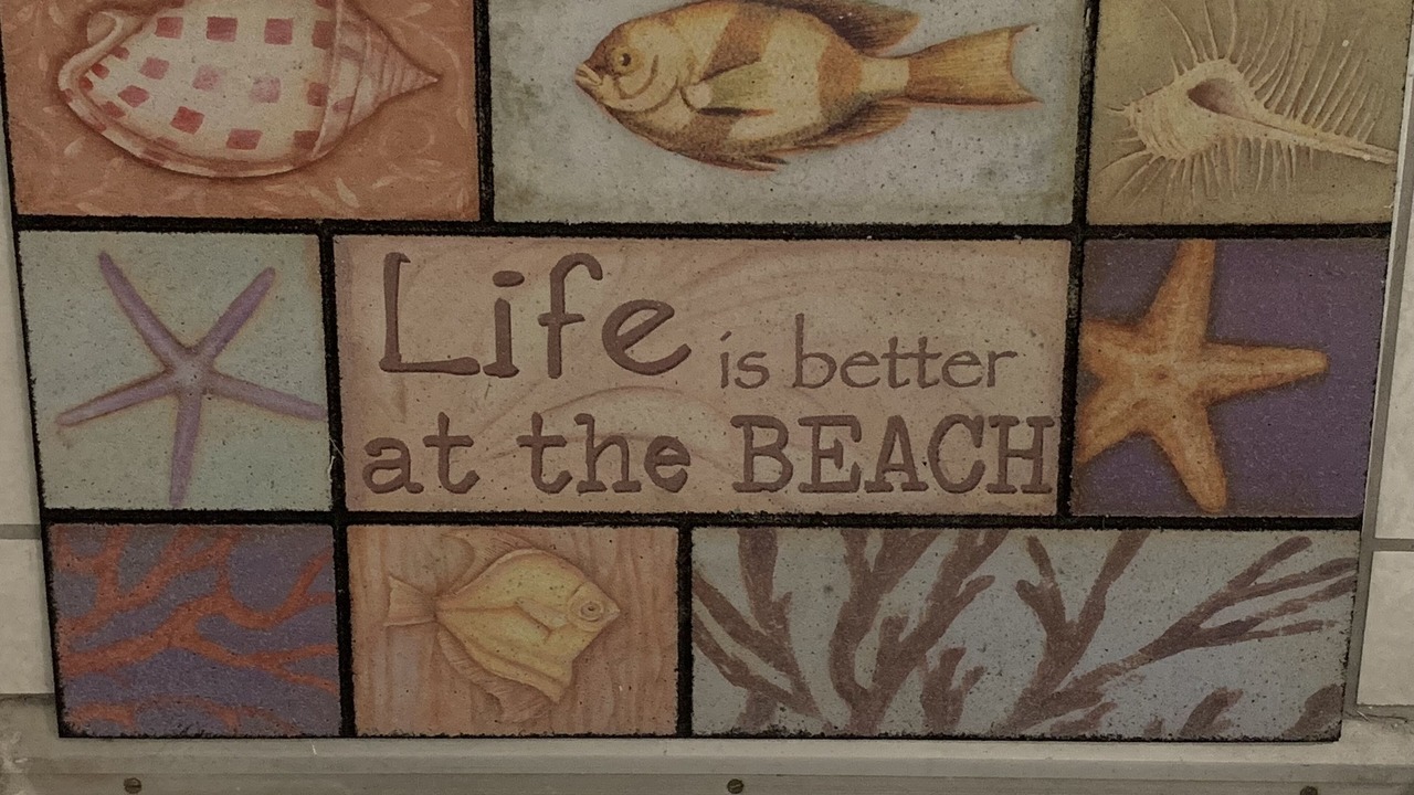 Photo of Others in North Redington Beach
