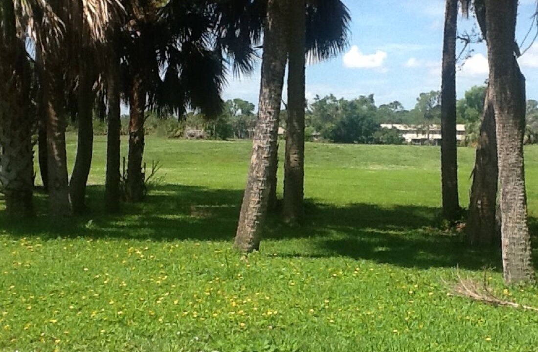 Photo of Others in Lochmoor Waterway Estates
