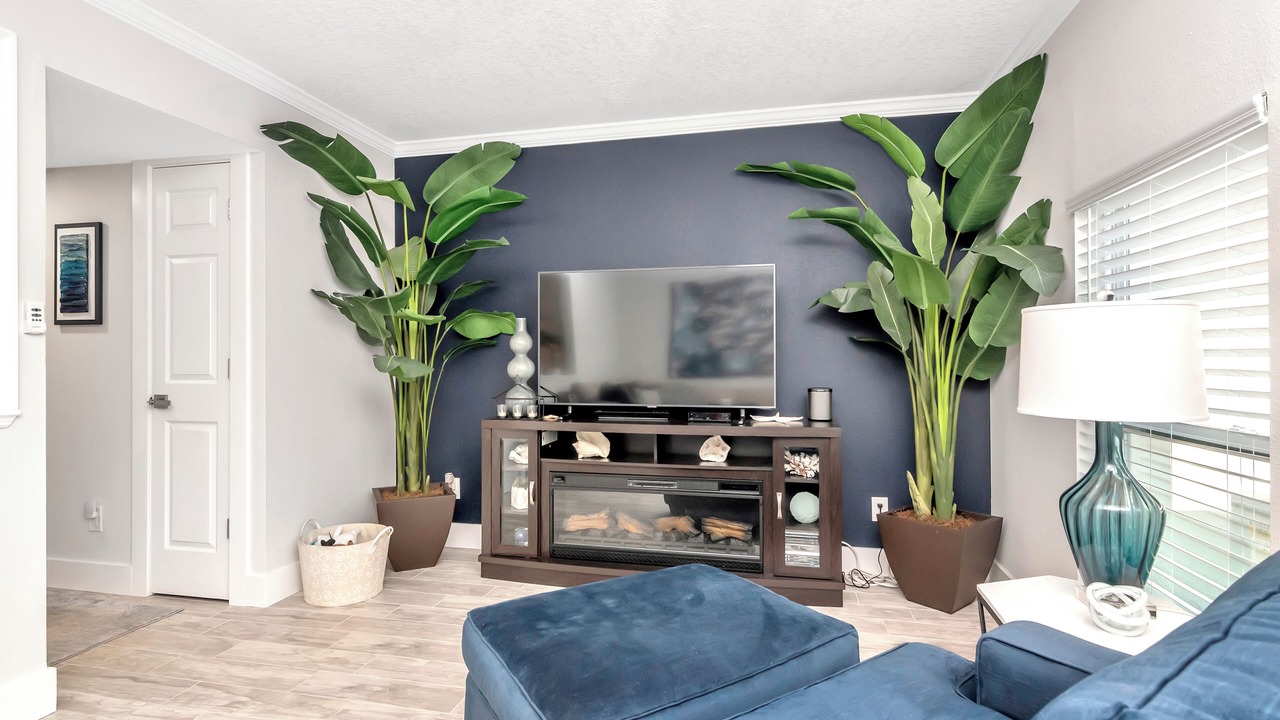 Photo of Livingroom in Davis Islands