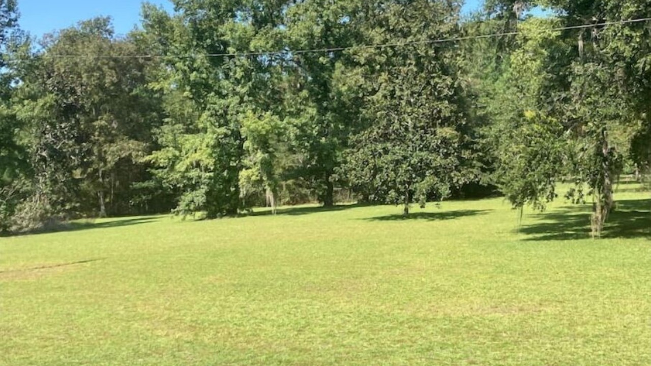 Photo of Others in Crawfordville