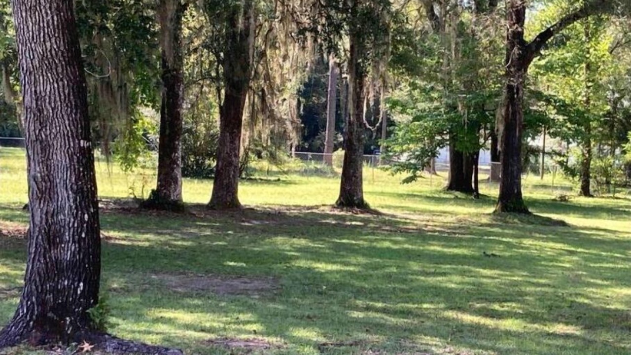 Photo of Outdoor in Crawfordville