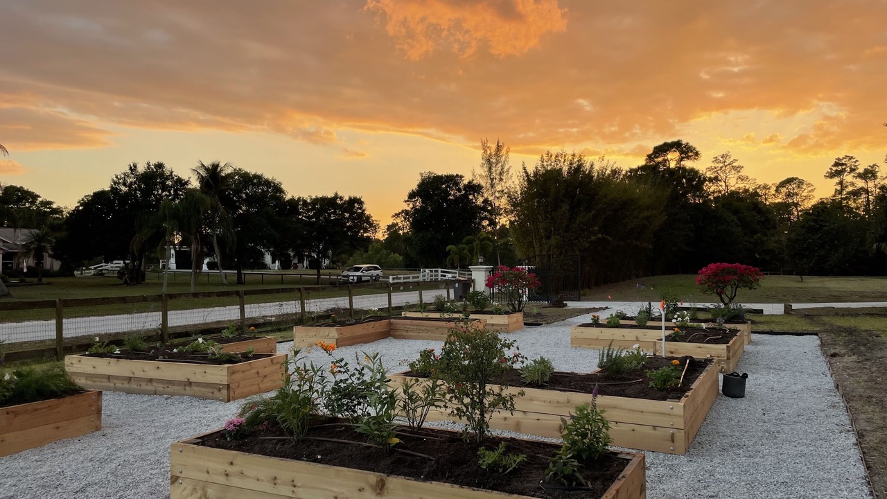 Photo of Others in Jupiter Farms