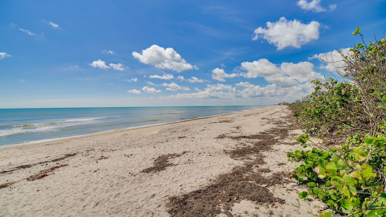 Photo of Others in South Patrick Shores