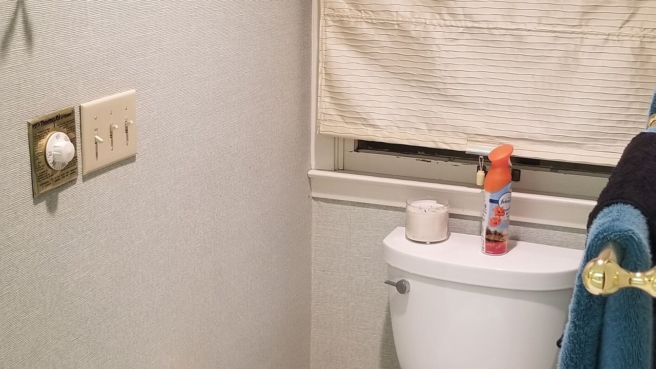 Photo of Bathroom in Brent