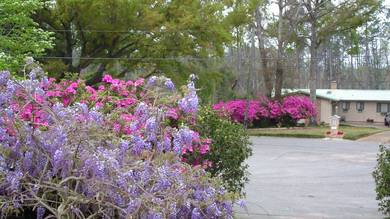 Photo of Outdoor in Brent