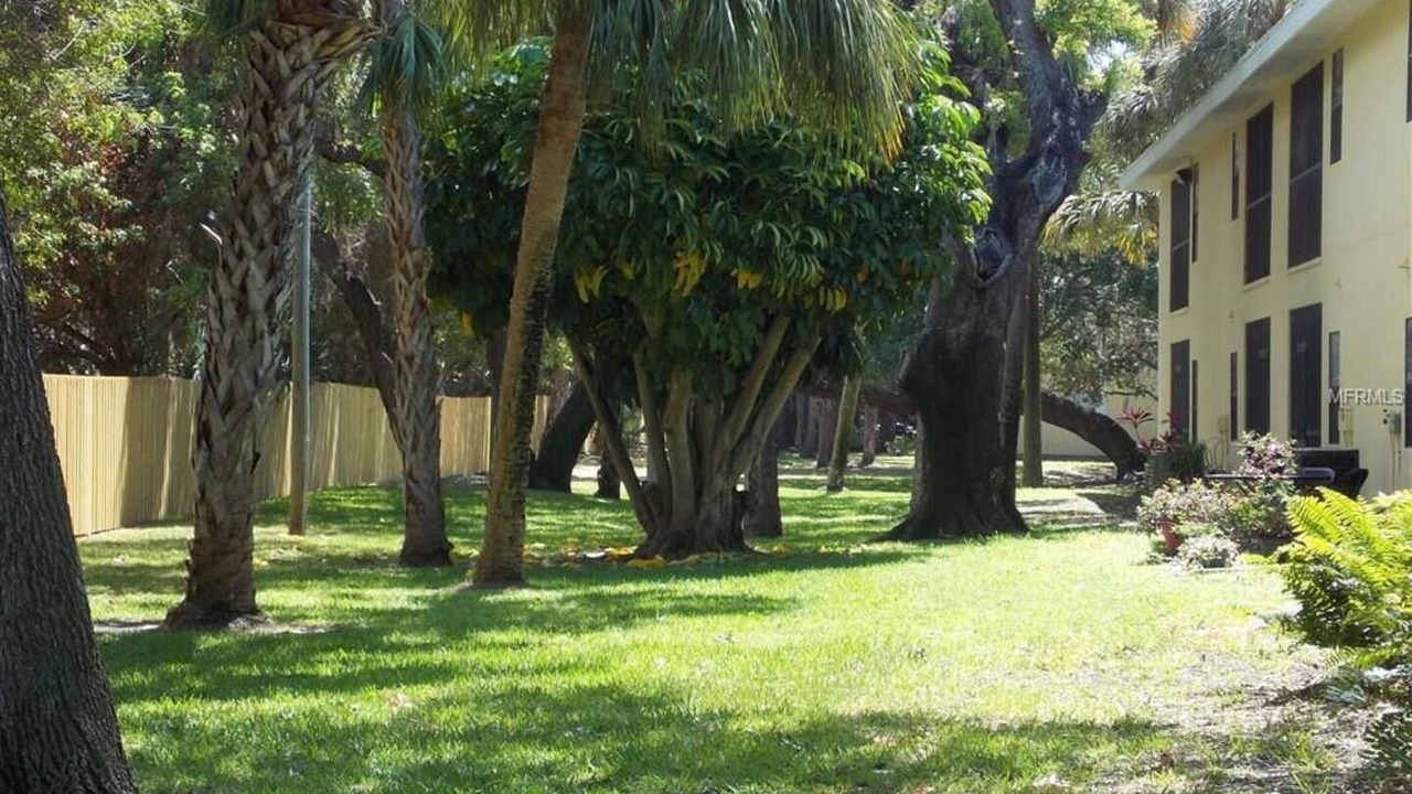 Photo of Outdoor in Pinellas Point