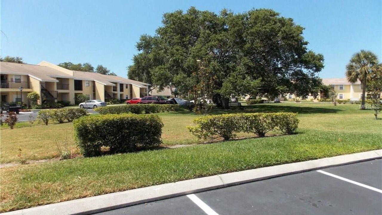 Photo of Outdoor in Pinellas Point