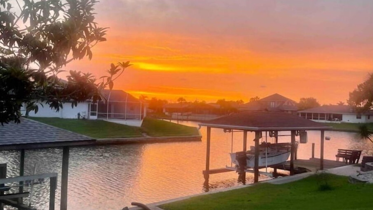 Photo of Others in Palm Harbor