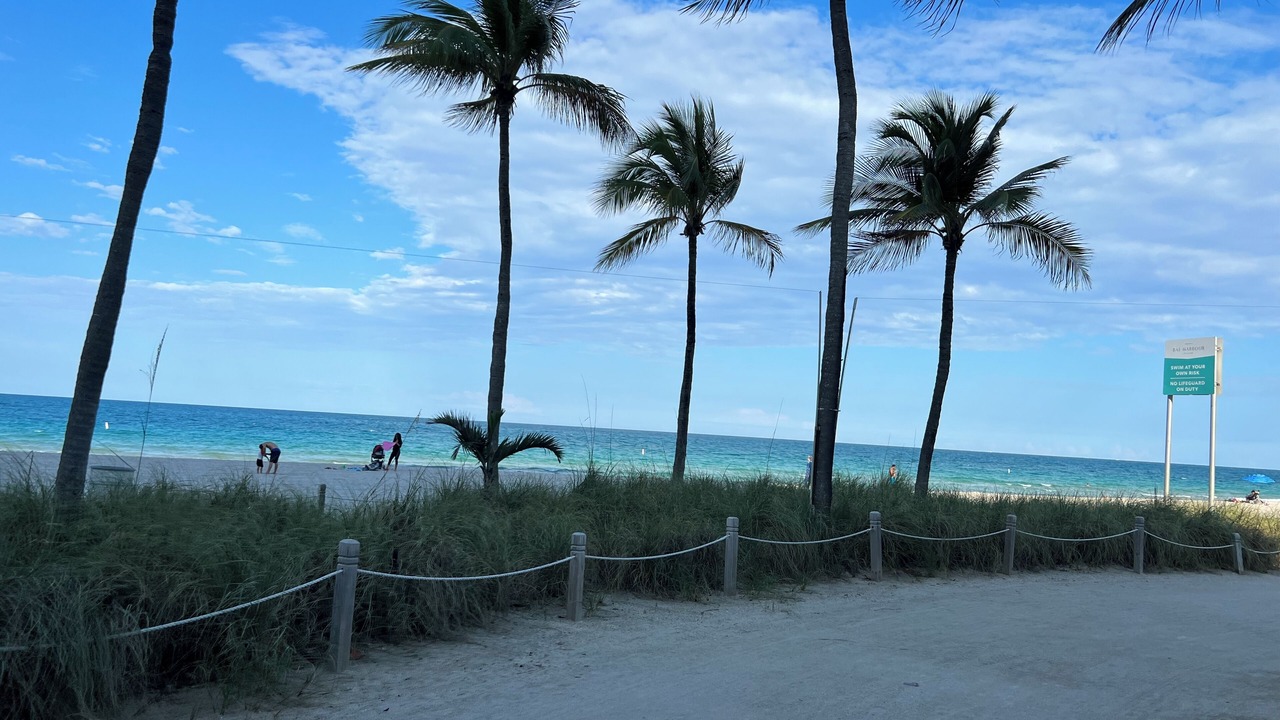 Photo of Others in Surfside