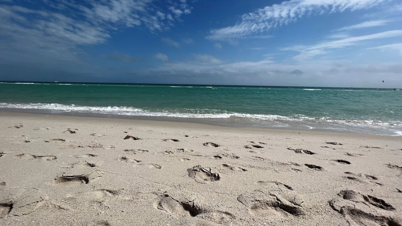Photo of Others in Surfside