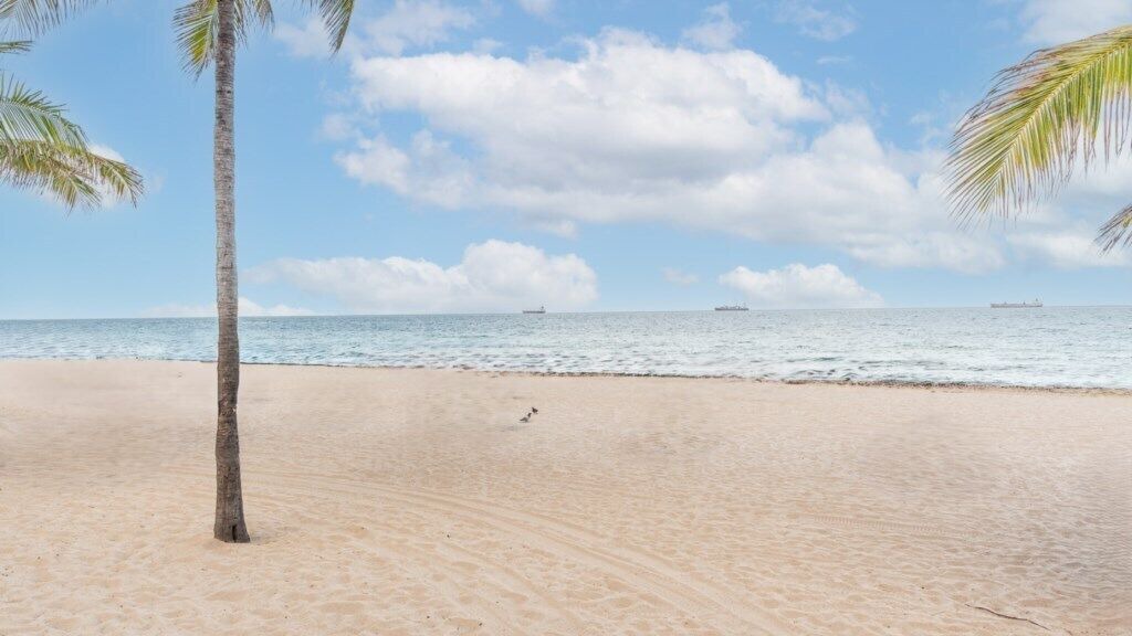 Photo of Others in Barrier Island