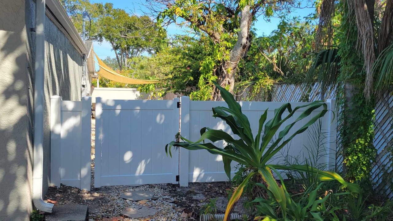Photo of Outdoor in St. Petersburg - Clearwater