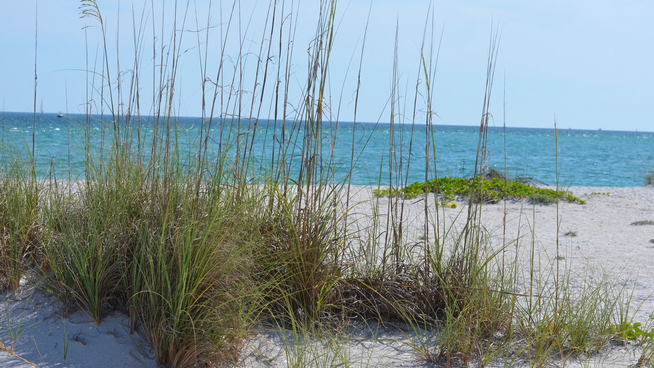 Photo of Others in South Gulf Cove