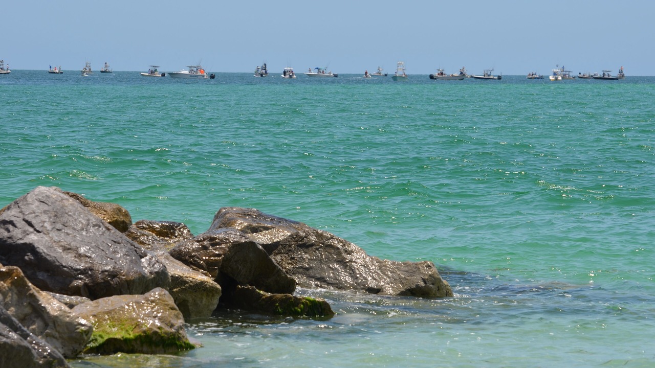 Photo of Others in South Gulf Cove