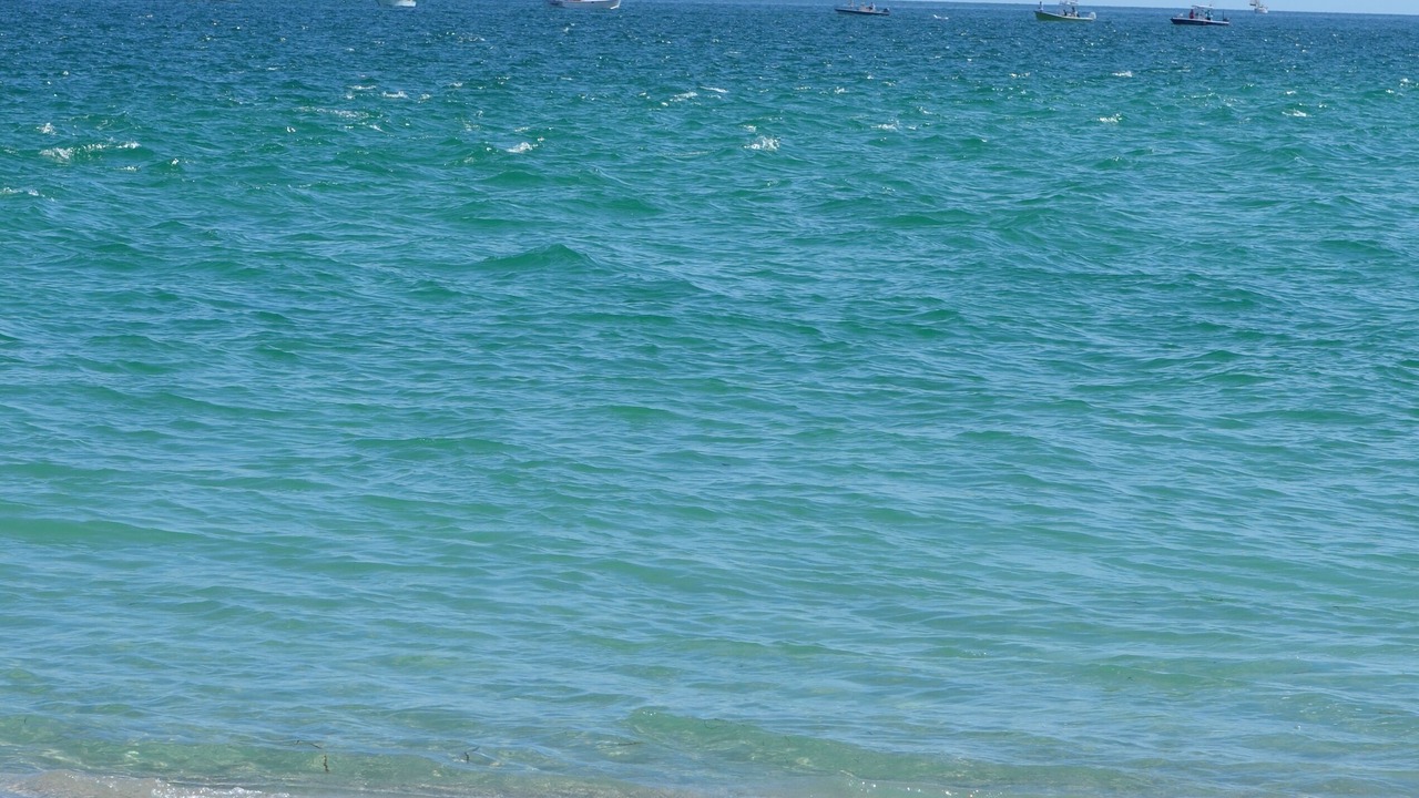 Photo of Others in South Gulf Cove