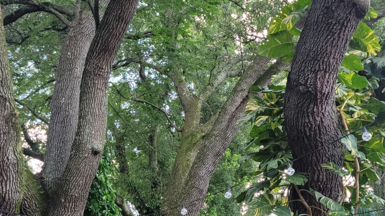 Photo of Outdoor in Terrace Park