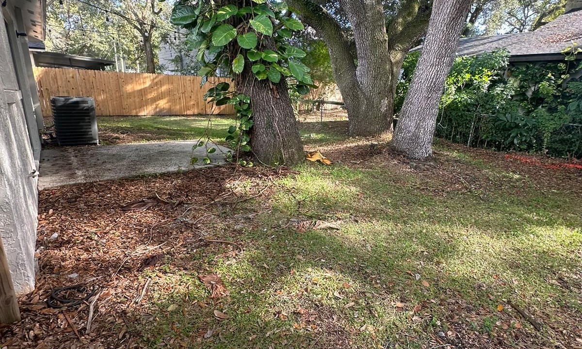 Photo of Outdoor in Terrace Park