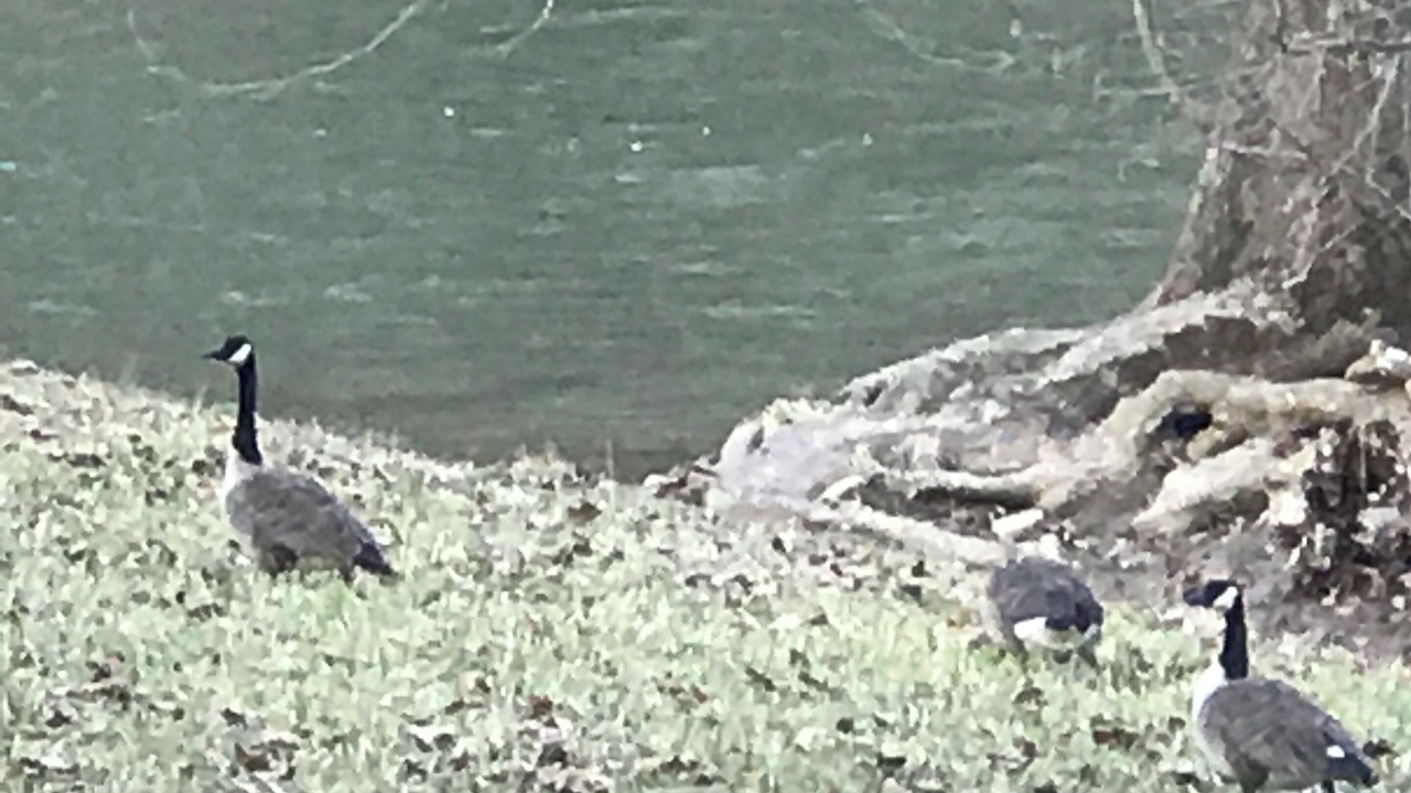Photo of Others in Spottswood
