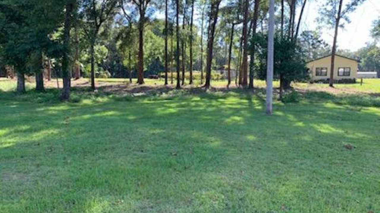 Photo of Others in Tallahassee