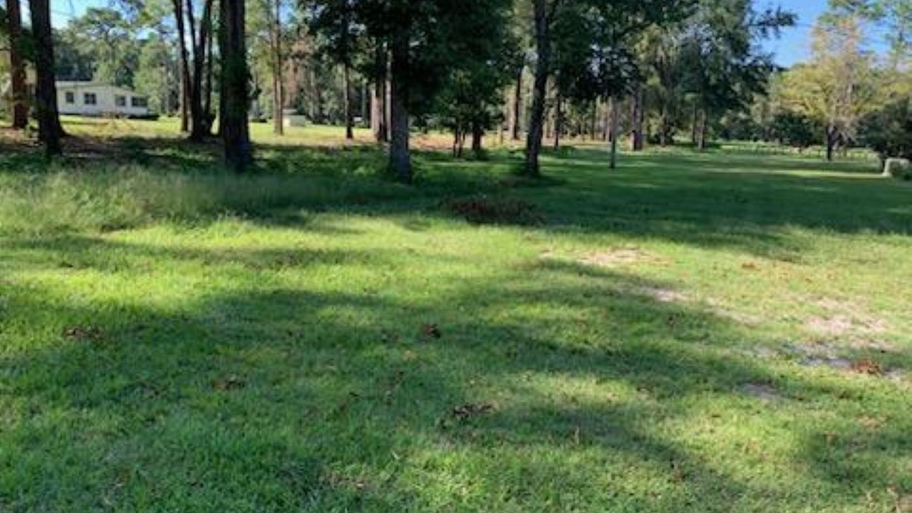 Photo of Others in Tallahassee