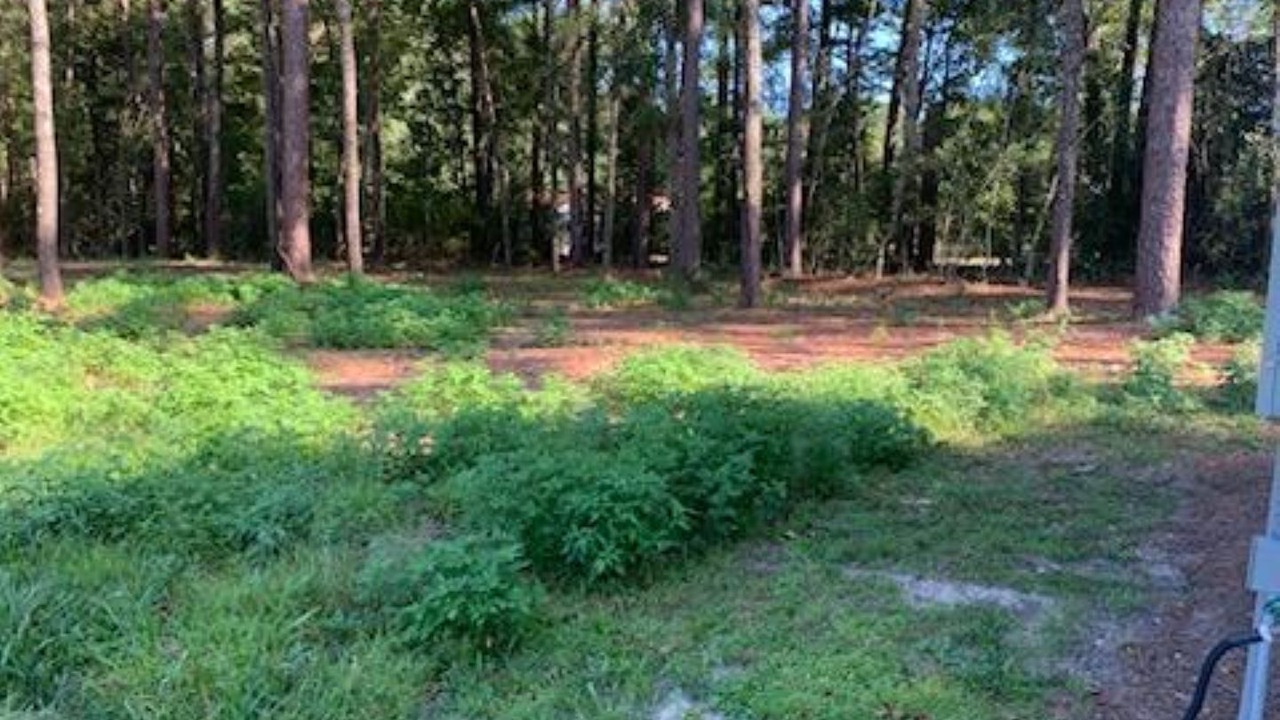 Photo of Others in Tallahassee