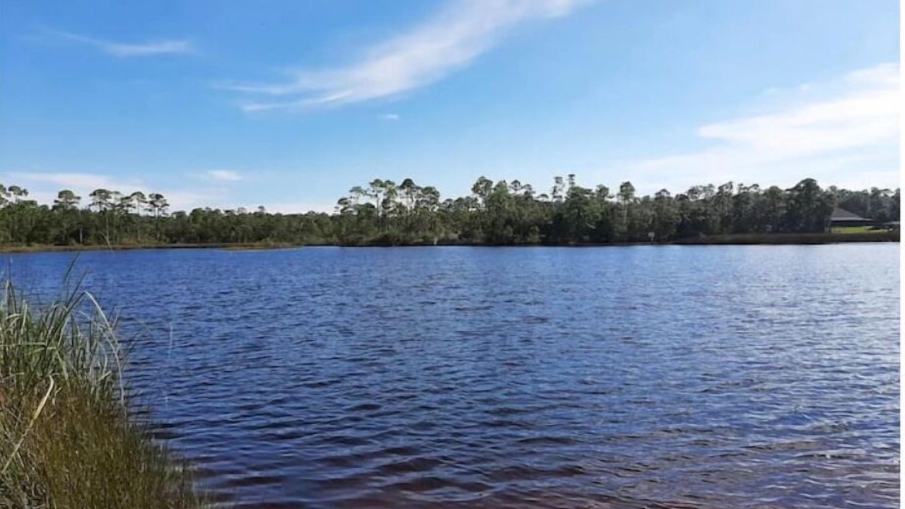 Photo of Others in Pensacola
