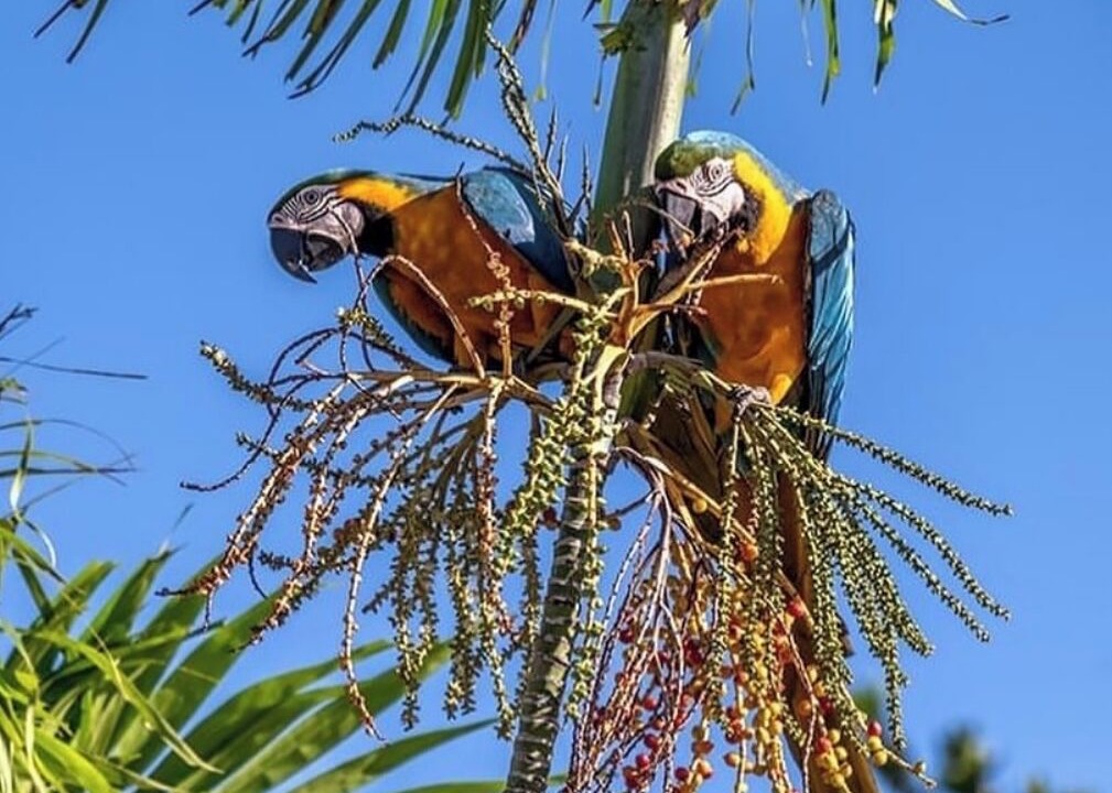 Photo of Others in Palmetto Bay