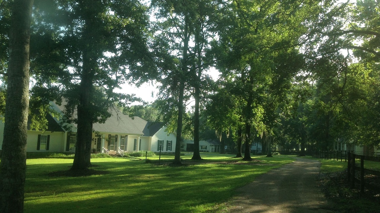 Photo of Outdoor in Monticello