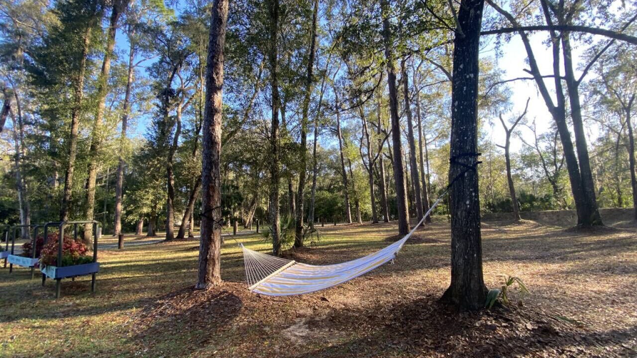 Photo of Outdoor in Dunnellon