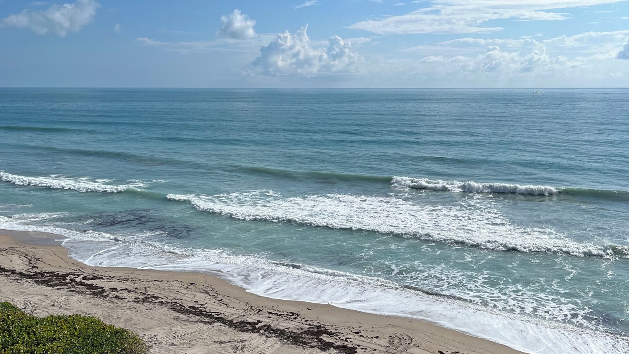 Photo of Others in Hutchinson Island South