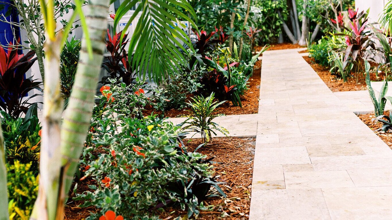 Photo of Outdoor in Harbordale