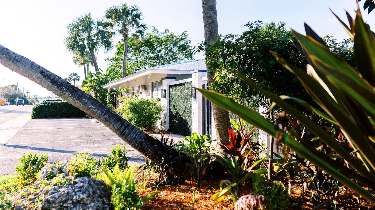 Photo of Outdoor in Harbordale