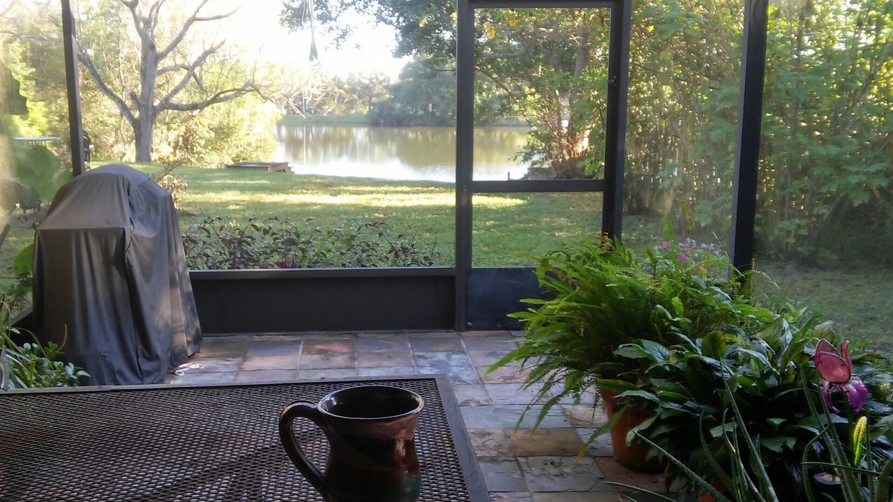 Photo of Patio Balcony in Lakeview Village