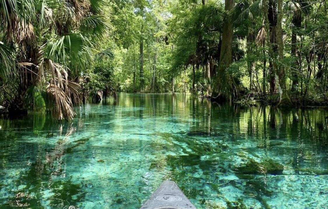 Photo of Others in Ocala