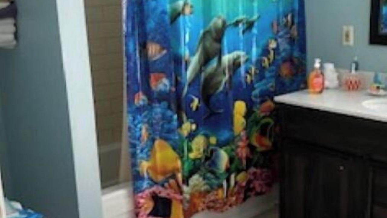 Photo of Bathroom in Grant-Valkaria