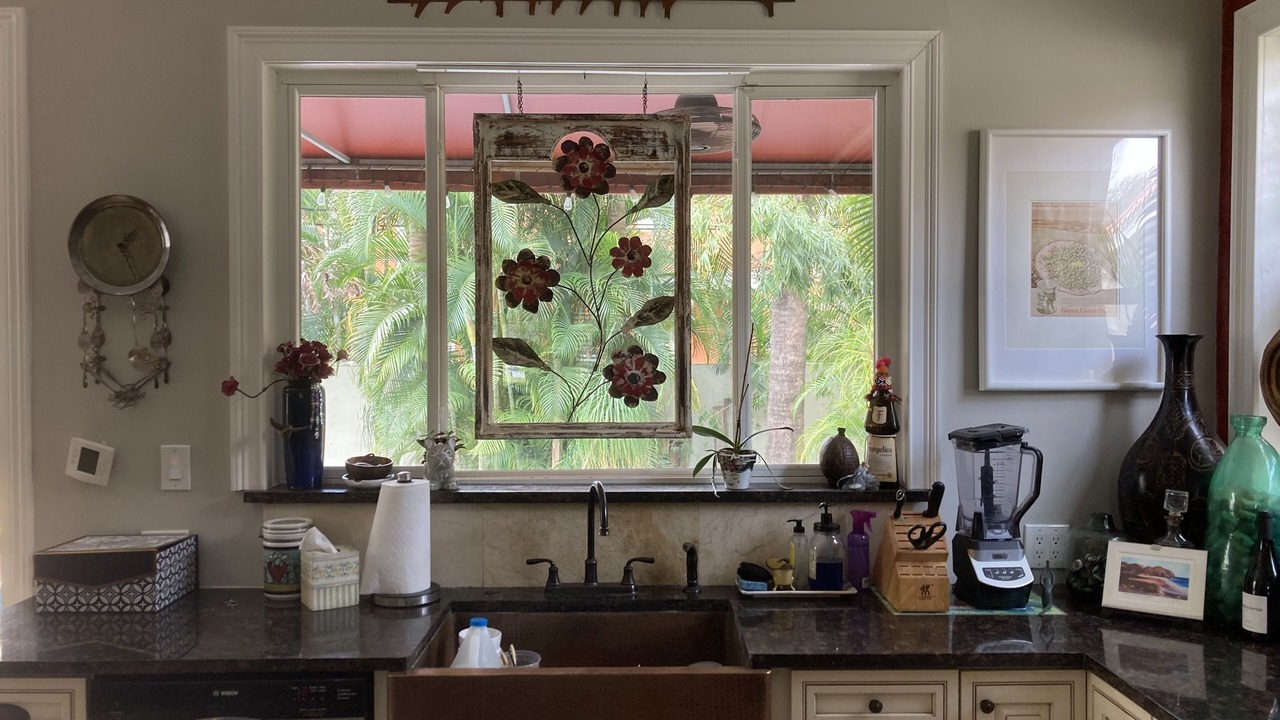 Photo of Kitchen in Davis Islands
